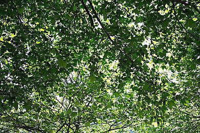 EA新专利将检测玩家的恶意组队行为 最高禁赛惩罚